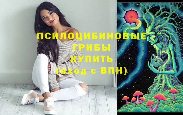 кокс Алексеевка